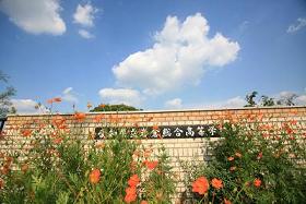 愛知県立岩倉総合高等学校は、総合学科の学校です